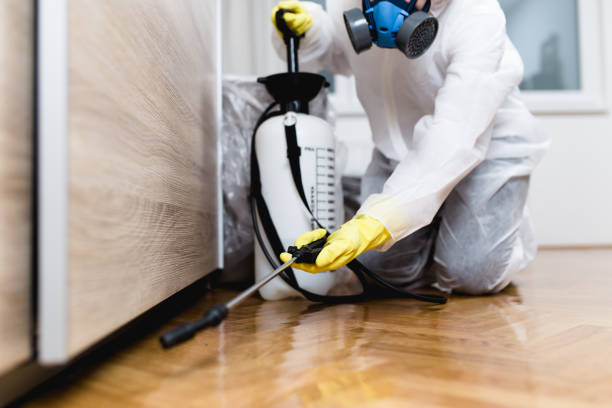 Best Best Pest Control Companies  in Northville, MI