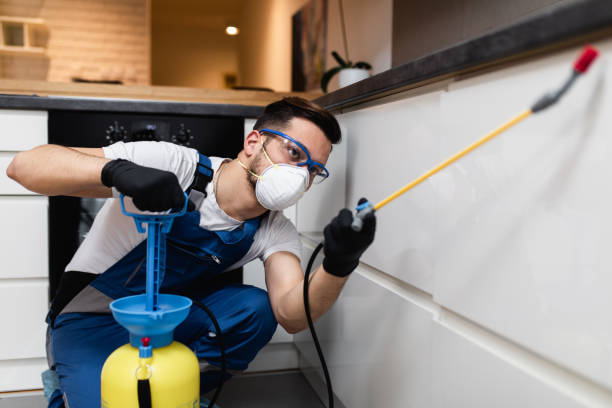Best Local Pest Control Services  in Northville, MI