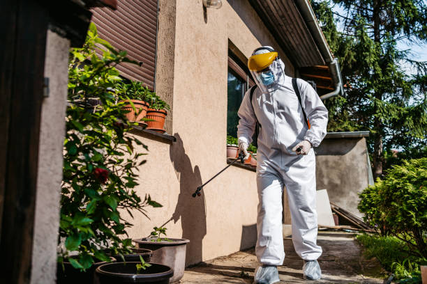 Best Best Pest Control Companies  in Northville, MI