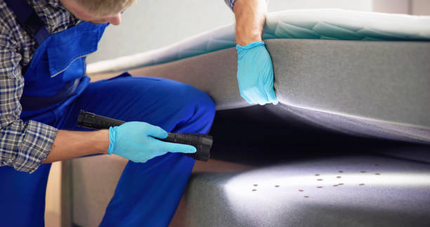 Best Emergency Pest Control  in Northville, MI
