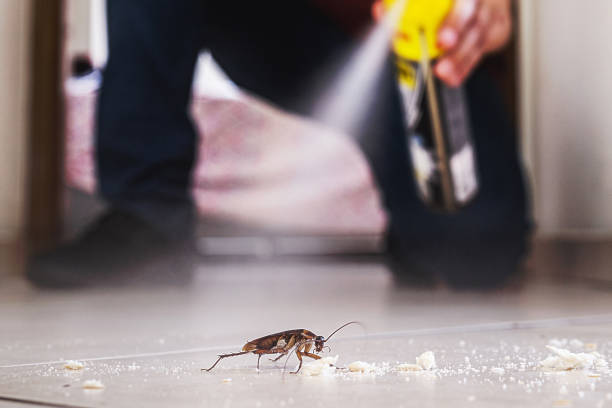 Best Rodent Control Near Me  in Northville, MI