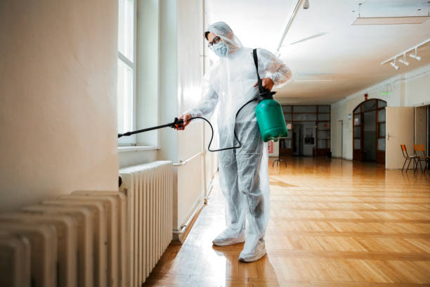 Best Residential Pest Control  in Northville, MI
