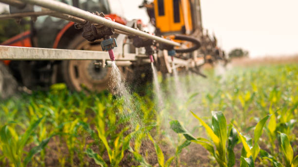 Best Pest Control for Businesses  in Northville, MI