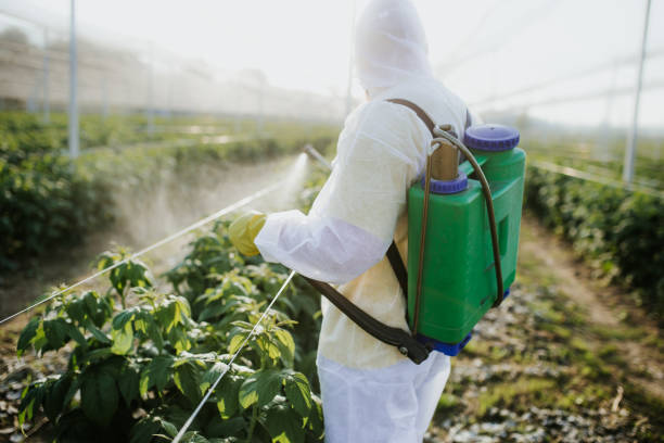 Best Affordable Pest Control Services  in Northville, MI